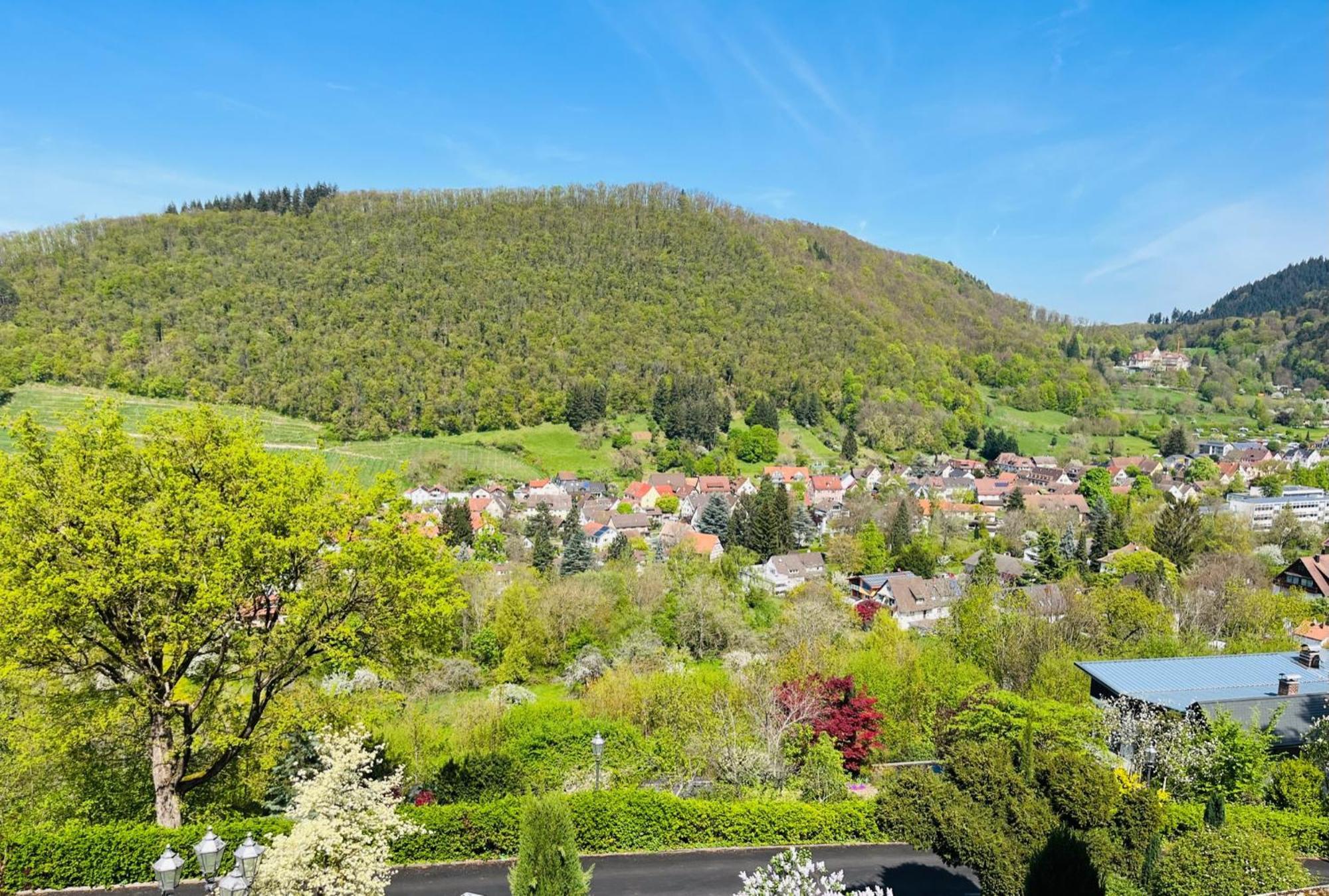 Schlossberg Hotel 3*
