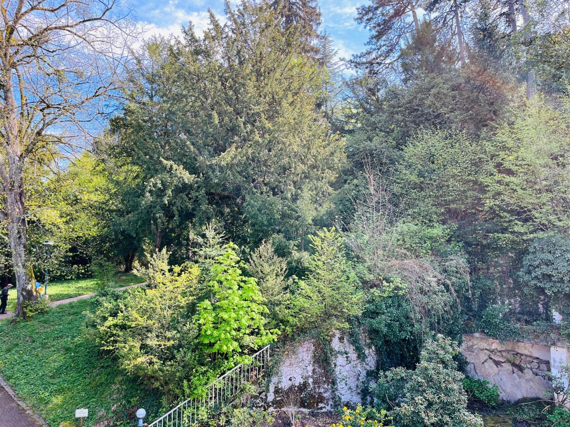 Schlossberg Hotel