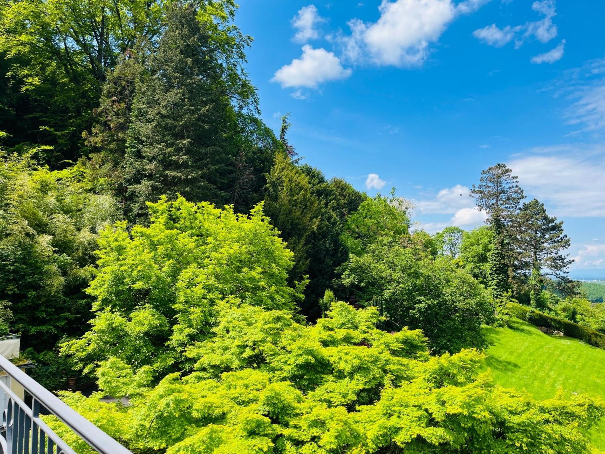 Hotel Schlossberg Badenweiler